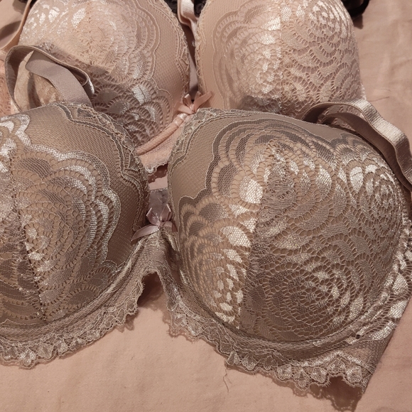 NWT!! Rene' Rofe' Bra Bundle 36DD (3) - Picture 3 of 14